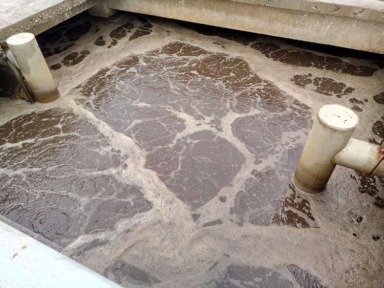 污水脱氮