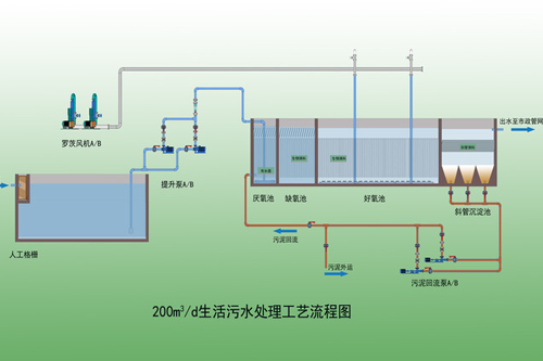 反硝化细菌